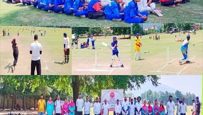 Power-Packed Cricket action unfolds on Chowgan Grounds 