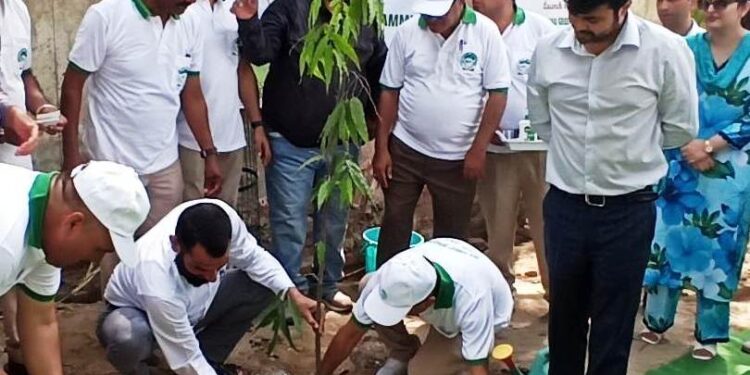 JMC, Urban Forestry Division launch ‘Clean Jammu Green Jammu’ Campaign