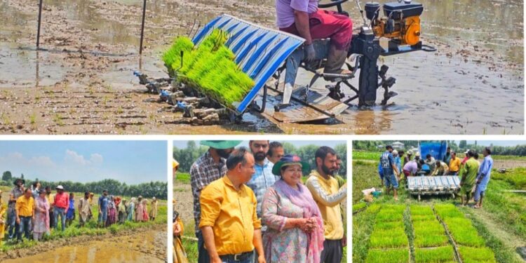 KVK Bandipora demonstrates mechanized paddy transplantation to promote modern farming practices