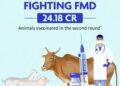 FMD Vaccination campaign launched under NADP- FMD-CP by Animal Husbandry Kashmir