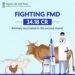 FMD Vaccination campaign launched under NADP- FMD-CP by Animal Husbandry Kashmir