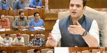 DC Kulgam chairs DLC meet for CLU cases