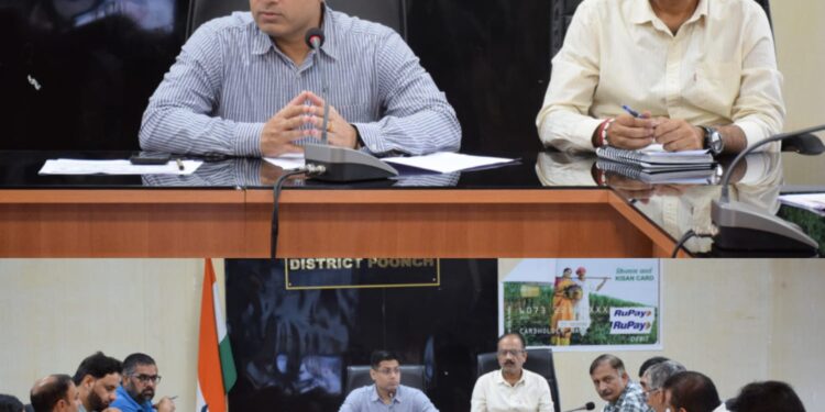 DDC Poonch reviews implementation of Financial Inclusion, Social Security Schemes