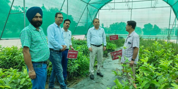 Director Horticulture Jammu conducts an extensive tour of Samba