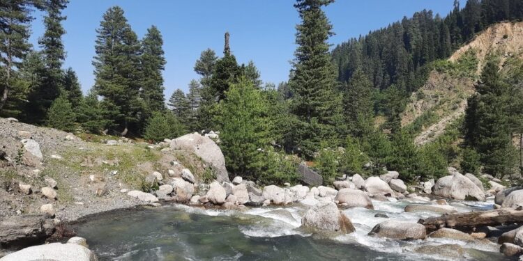 Reshwari in Handwara gains popularity as serene eco-tourism destination