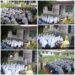 Bandipora Intensifies fight against drugs with launch of ‘Anti-Drug Youth Clubs’