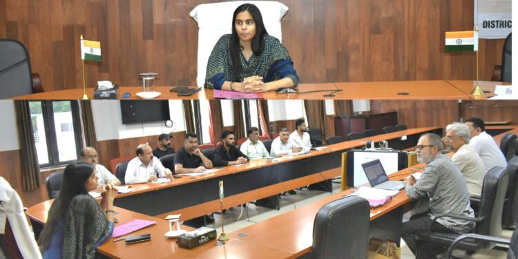 DC pitches for intensive efforts to make Reasi District TB-Free
