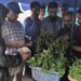 Director Agri. launches vegetable seedling distribution drive at Kitchen Garden Lalmandi Srinagar