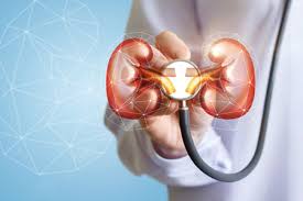 Chronic hypertension can damage kidneys, digestive system, warn doctors