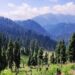Govt refutes deforestation claims in Tosamaidan, Gulmarg