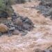 IMD issues flash flood alert for 12 J&K districts