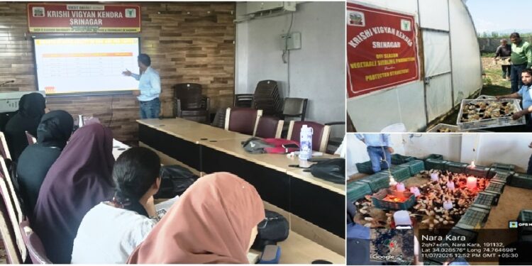 SKUAST-Kashmir, KVK Srinagar kick-start 3-day Skill Development Training