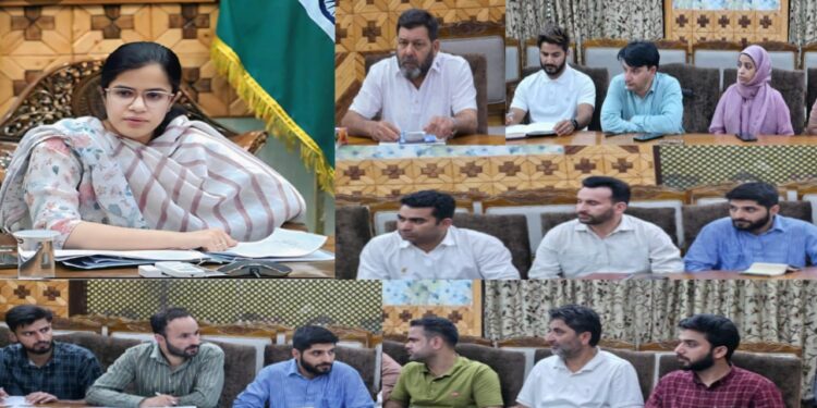 DLIC Kupwara approves 98 cases under Mission YUVA
