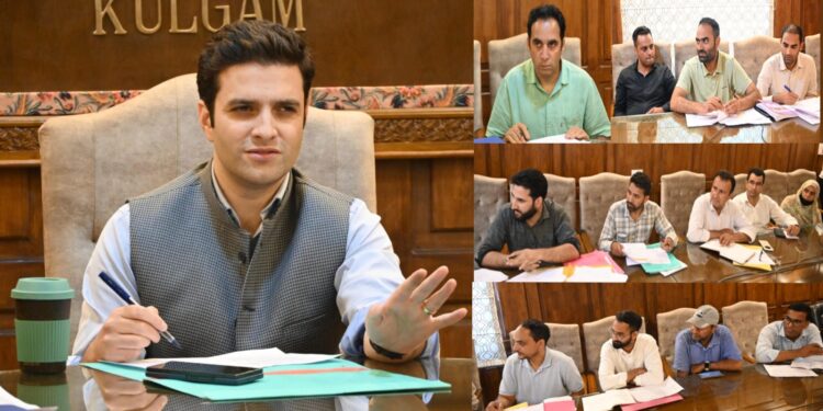 DC Kulgam chairs DLIC meet, approves 53 cases under PMAY-U 2.0