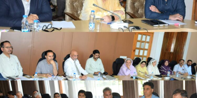 Sakeena Itoo chairs first-of-its-kind meeting on drug de-addiction across J&K