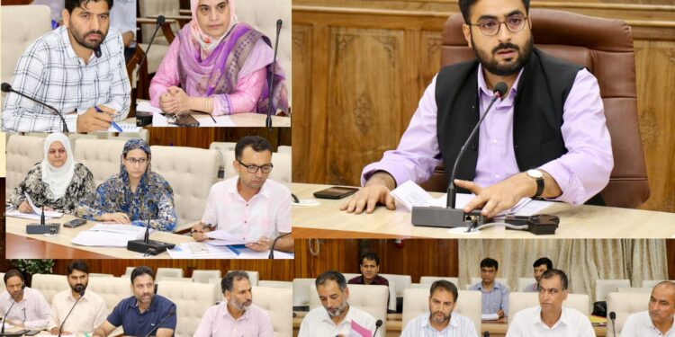 DC Srinagar chairs DLC meeting on JKCIP; approval accorded to several applications