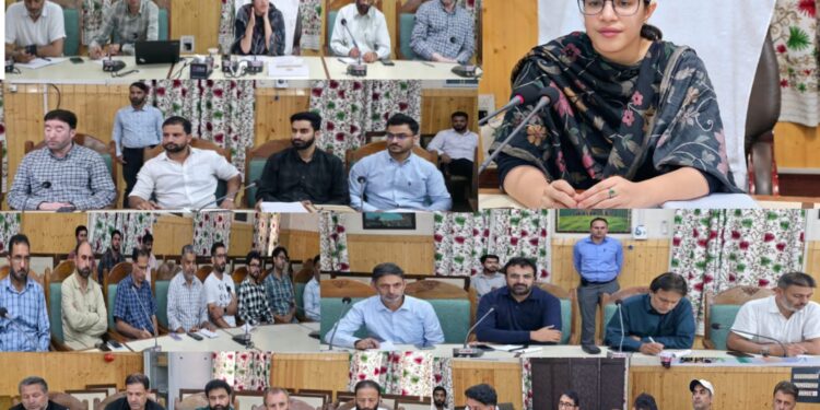 DC Kupwara reviews preparations for ‘Har Ghar Tiranga’ campaign 2025