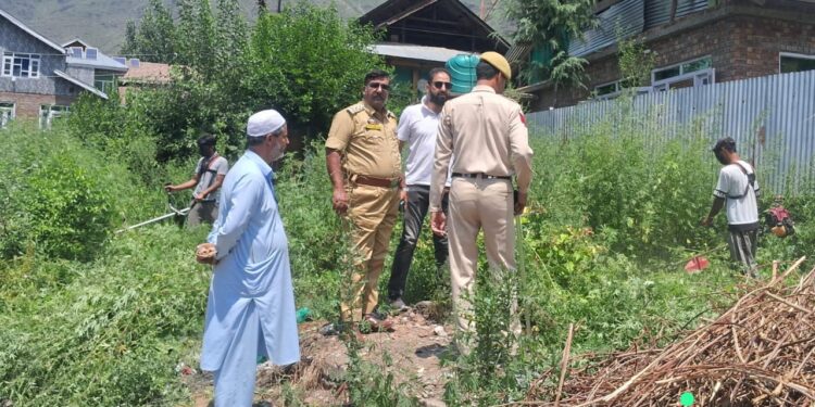 Police, Excise Department Launch Joint Drive to Destroy Cannabis in Aragam