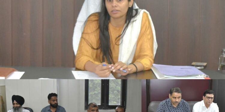 DC Reasi discusses plan for implementing Adi Karamyogi Abhiyan at Block level