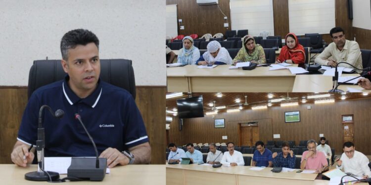 DC Budgam reviews development of Kanihama Craft Village