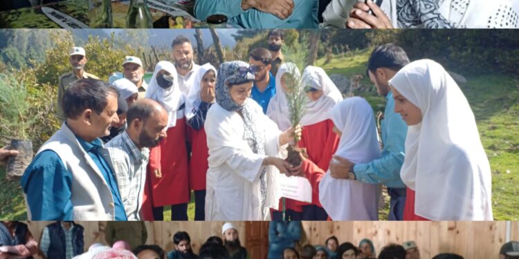 SFD Anantnag organises Autumn Plantation Drive, awareness programme at Chattabal