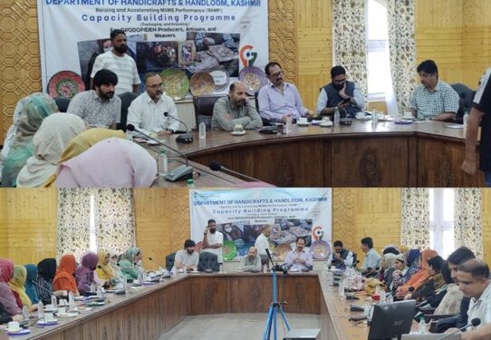 DHH Kashmir organises one-day capacity building programme on Branding and Packaging under RAMP