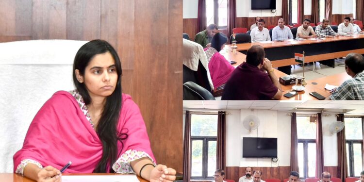 DC Reasi reviews implementation of PM Surya Ghar Muft Bijli Yojana