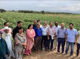 Field Day organised for farmers at DARS SKUAST-K