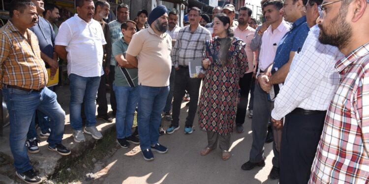 DC Udhampur inspects renovation work on PMGSY Road