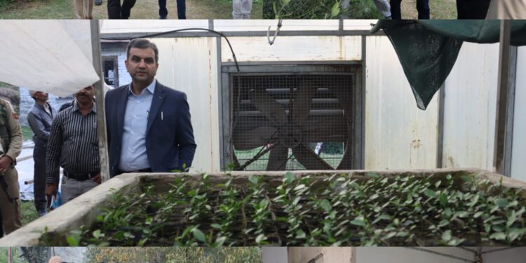DC Ramban inspects development activities at Horticulture Farm Bhatti