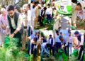 Sewa Parv-2025: DC Srinagar leads “Ek Ped Maa Ke Naam”, “Ek Ped Shaheed Ke Naam” campaign by planting Saplings at DC Office premises