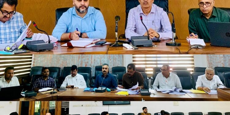DC Kathua reviews progress of development works