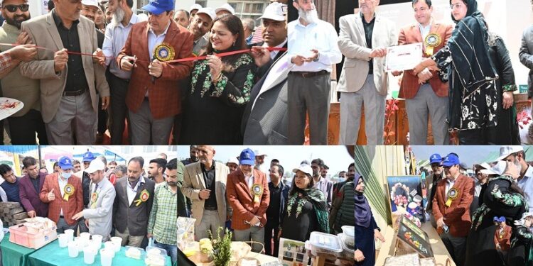 Javid Dar presides valedictory session of Pashudhan Mela at SKUAST-K Shuhama