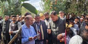 Javid Dar visits Rafiabad, assesses damage caused by recent hailstorm