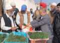 Director Agriculture Kashmir kick-starts onion seedling sale at Kitchen Garden Srinagar