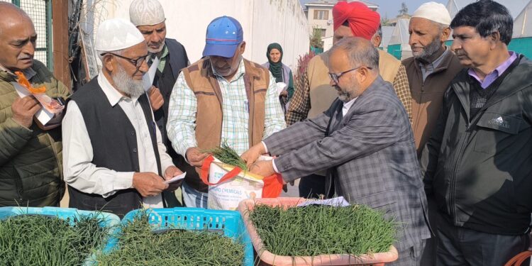 Director Agriculture Kashmir kick-starts onion seedling sale at Kitchen Garden Srinagar