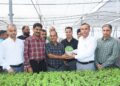Director Agriculture Jammu distributes One Lakh Hybrid Vegetable Seedlings under HADP