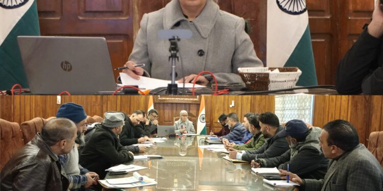 DC Bandipora reviews stray dog management