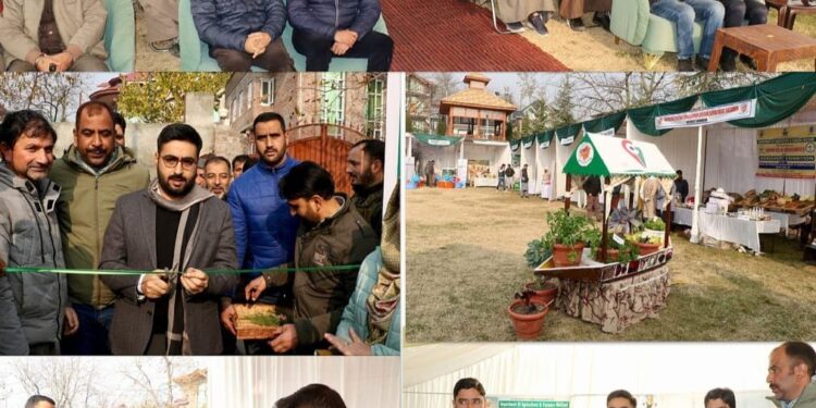 DC Srinagar inaugurates Kissan Mela cum Exhibition under MIDH at Darbagh Harwan