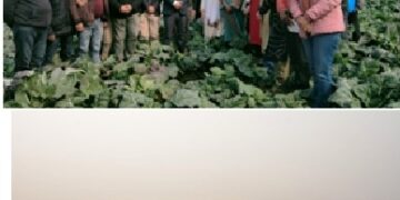 ‘Leafy Greens’ Celebrated at CITH Srinagar