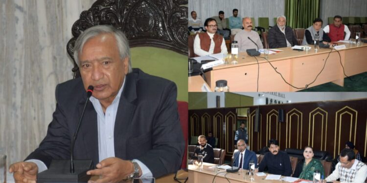 Tarigami chairs environment committee meeting