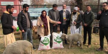 SHD Kashmir distributes Karnahi Rams to Boost Indigenous Breed Conservation