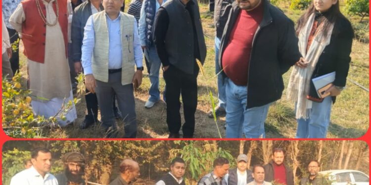 Director Horticulture reviews development activities in Rajouri District