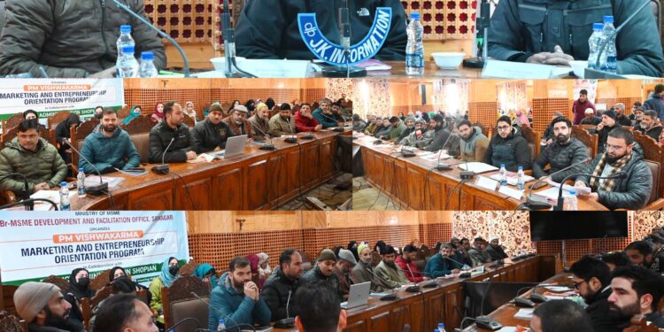 Br MSME DFO Srinagar organises PM Vishwakarma Marketing & Entrepreneurship Orientation programme at Shopian