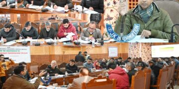 DC Shopian chairs DLRC/DCC meeting
