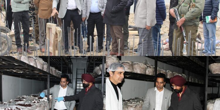 Mission Director HADP, Deputy Commissioner inspects under-construction compost and mushroom units in Doda