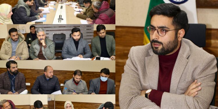 DC Srinagar conducts Tehsil wise review of Revenue related matters