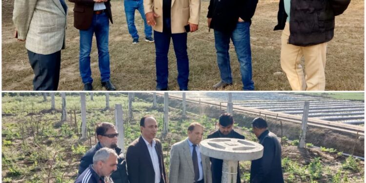 Director Horticulture inspects fruit orchards in Akhnoor, Khour areas
