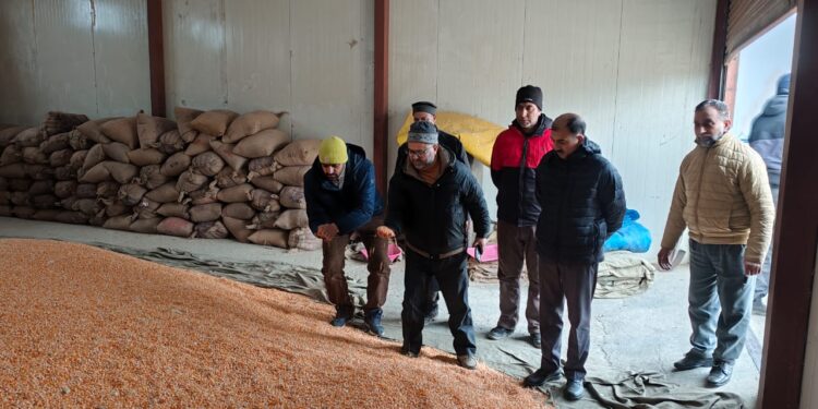Director Agriculture Kashmir Inspects Seed Multiplication Departmental Farms