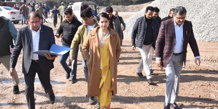 DC visits work sites in Birma, inspects progress on DDC Council building